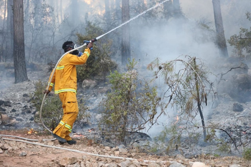 שריפה הרי ירושלים