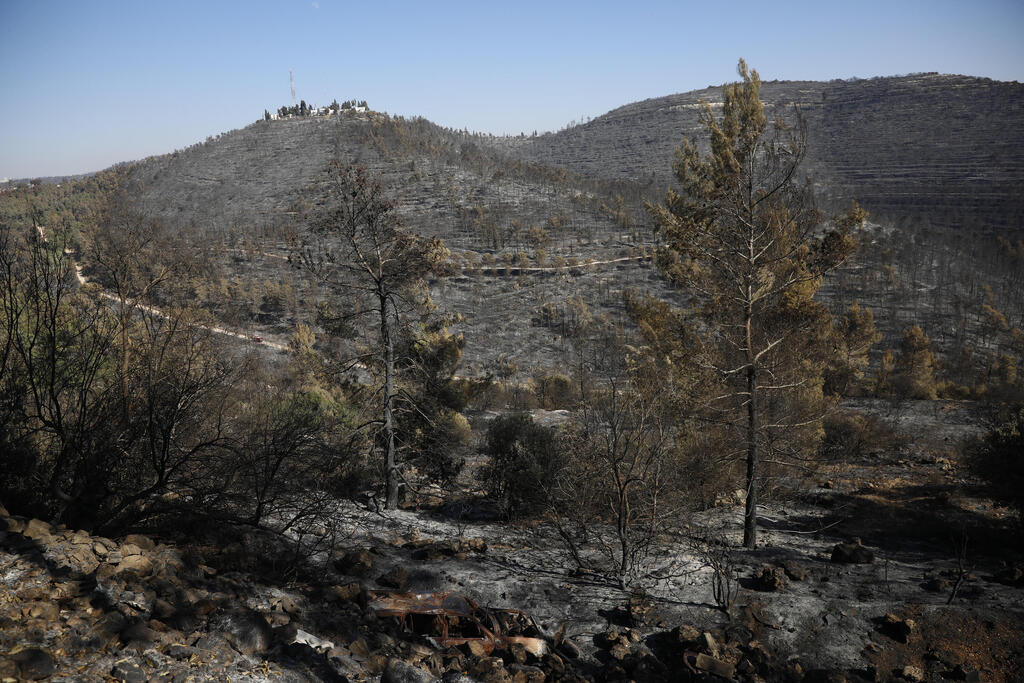 הנזק שנגרם כתוצאה מהשריפות בהרי ירושלים