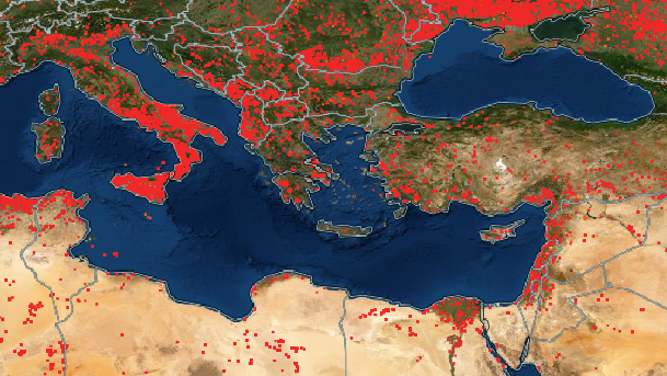 השריפות באזור אגן הים התיכון בשבועיים האחרונים