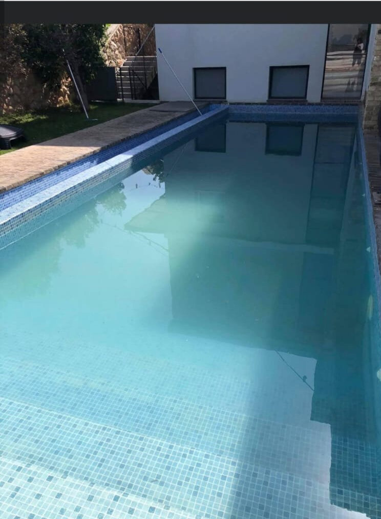 Грязный бассейн в циммере Gilboa Mountain View (Фото: Данит Мадьюни) בריכה מלוכלכת בצימר Gilboa Mountain View במושב נורית