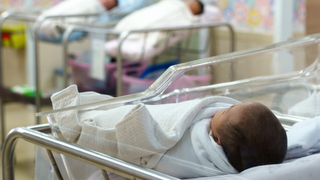 אילוס אילוסטרציה תינוק 