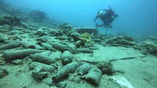 ניתוק אלמוגים מפריטי פסולת
