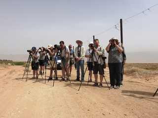 תחרות אלופי הנדידה, אביב 2019