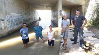  פעילי "מצילים את נחל תנינים" בנחל