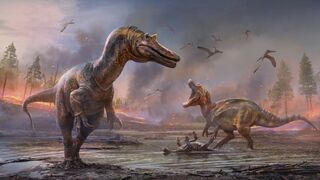 שחזור של שני הדינוזאורים  