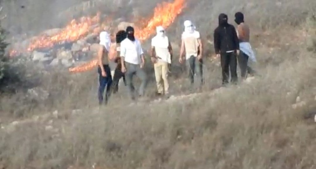 תיעוד: מציתים אש ומיידים אבנים לבתי פלסטינים - החיילים לא מגיבים