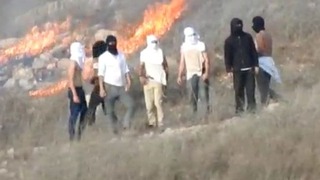 תיעוד: מציתים אש ומיידים אבנים לבתי פלסטינים - החיילים לא מגיבים