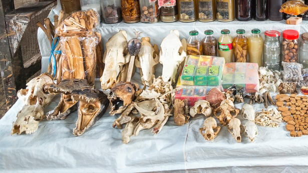 חלקי בעלי חיים לצד מוצרי מזון ושתייה בשוק בלן שבפרו