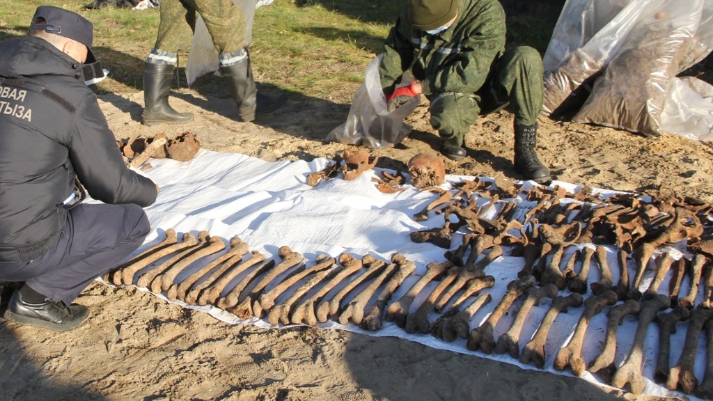 The bones of some of the victims found in the mass grave, in Luninets, Belarus (Photo: Belarus 1) שרידיהם של כ-1,400 גברים יהודים נמצאו בקבר האחים בעיירה לוניץ שבבלארוס