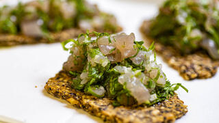 קרקר וטרטר של תומר טל