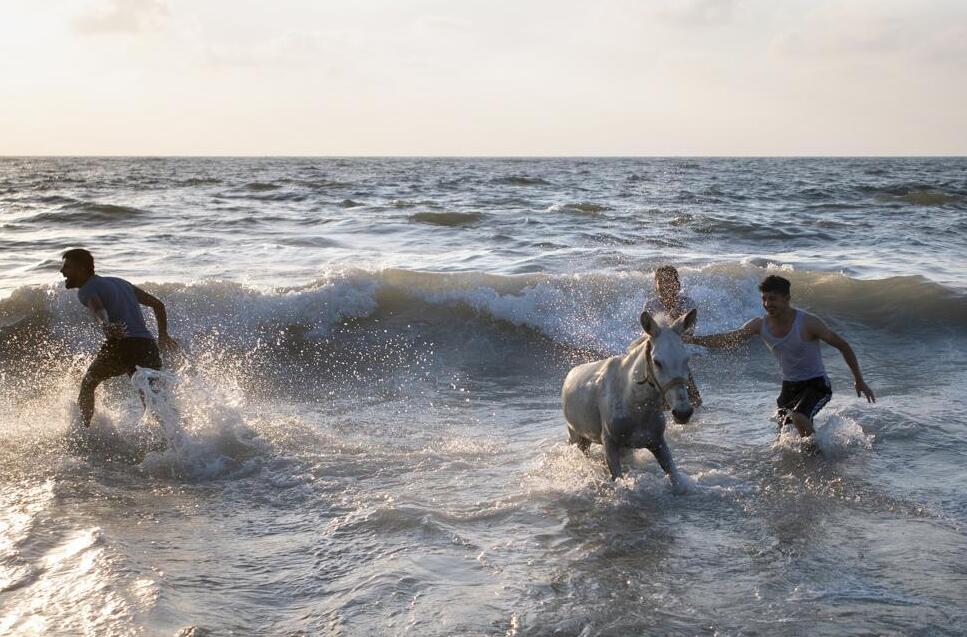 An Israeli family enjoy the day on a dog friendly beach in Tel Aviv, Israel, Saturday, July 10, 2021, left, and Palestinians enjoy their time while giving a bath to donkey on the beach of Gaza City, Friday, July 16, 2021, right.