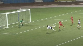 ערבה שחף כובשת