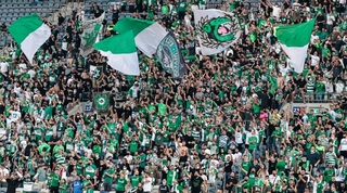 אוהדי מכבי חיפה