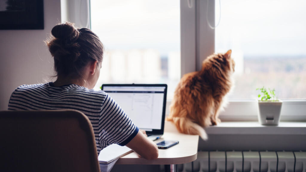 Working from home (Photo: Shutterstock) Working from home