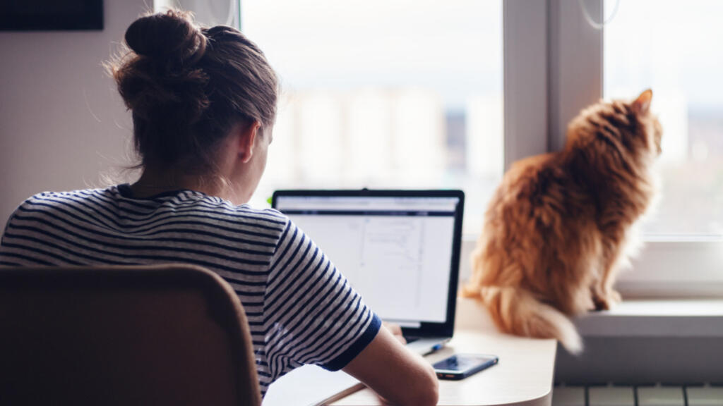 Фото: shutterstock