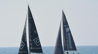 שייט מפרשיות