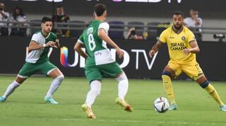 ברנדלי קוואס