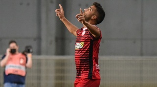 שובל גוזלן חוגג