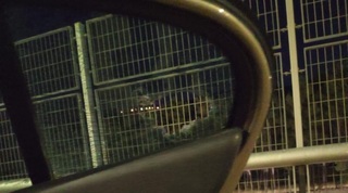 הרכב שנרגם באבנים