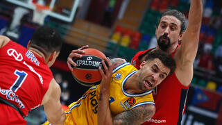 ווילבקין מול שבד