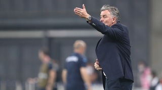 וילי רוטנשטיינר