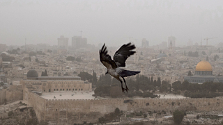 Пыльная буря над Иерусалимом 
