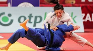 גפן פרימו בפעולה