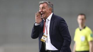 וילי רוטנשטיינר