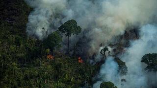 שטח עצום נשרף השנה באמזונס