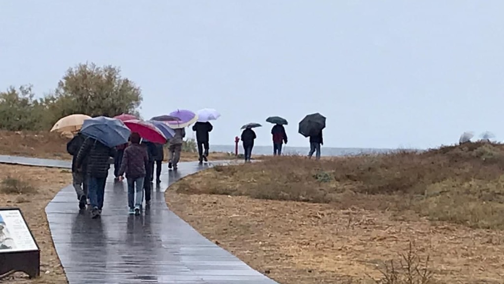 גשם בגן לאומי תל דור