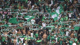 אוהדי מכבי חיפה