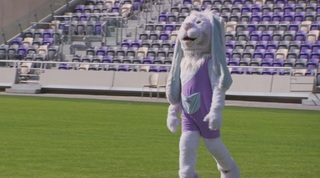 השפן של גולסטאריות