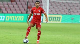 דוידה פטרוצ'י