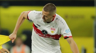 ולדמאר אנטון