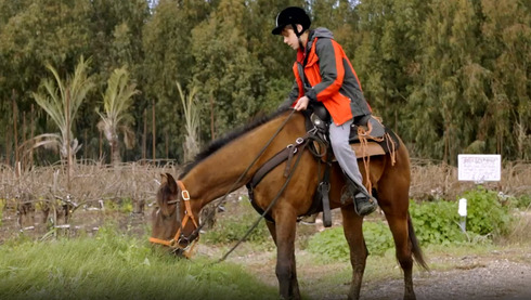 משפחת עדן יוצאת לטיול סוסים