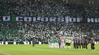 אוהדי מכבי חיפה בדרבי