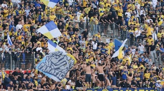 אוהדי מכבי ת"א