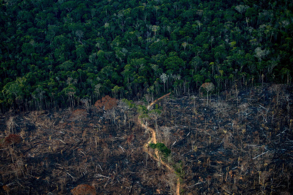 תמונות השנה של AFP שנת 2021 יער גשם כרות באמזונס ברזיל 15 ספטמבר