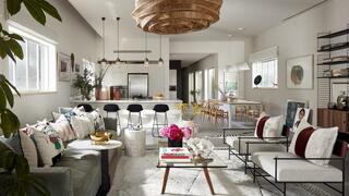 בלאגן מאורגן