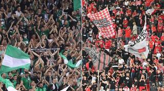 אוהדי הפועל באר שבע ומכבי חיפה