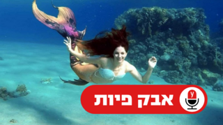 שיר קצנל