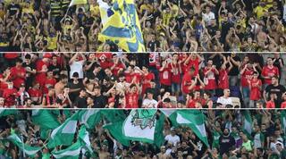 אוהדי הקבוצות