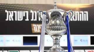 גביע המדינה