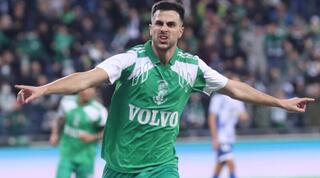 דין דוד כובש