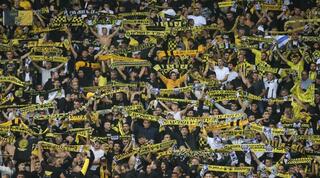 מבחן. אוהדי בית"ר