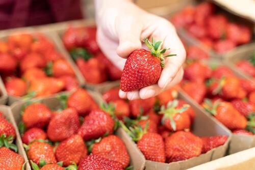 Фото: shutterstock клубника