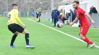 חמוד סלאח מול מירון טל