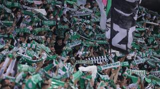 אוהדי מכבי חיפה