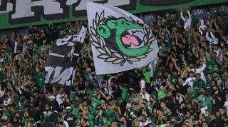 אוהדי מכבי חיפה