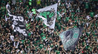 אוהדי מכבי חיפה